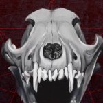 Skull Magic 1, Digital Painting, 2016